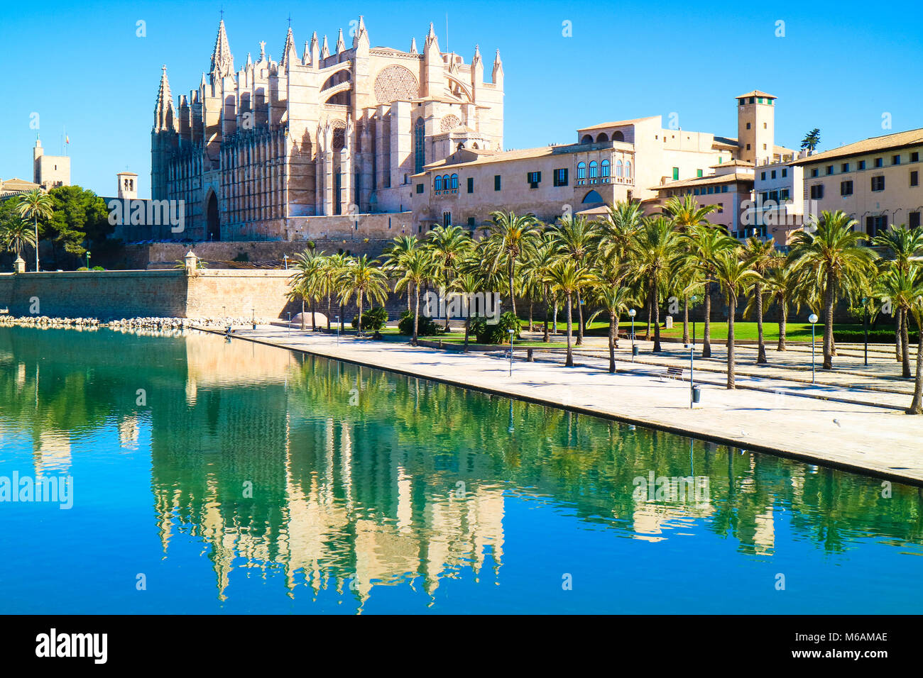 La Seu - il celebre Medieval gotica Cattedrale cattolica. Palma de Mallorca, Spagna. Acqua di riflessione. Foto Stock