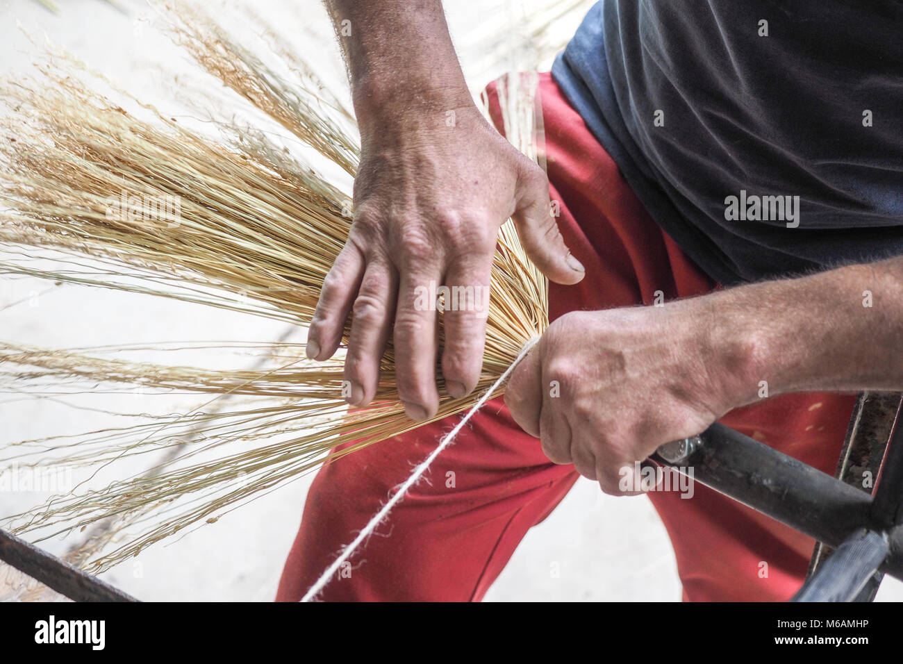 Ginestra rendendo la tradizione nel villaggio sassone di Altana, Sibiu, Romania Foto Stock