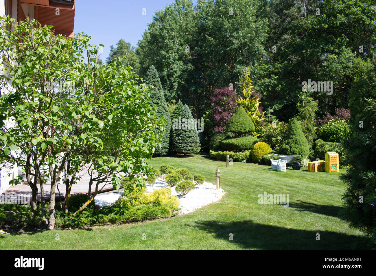 Piante e giardino. Foto Stock