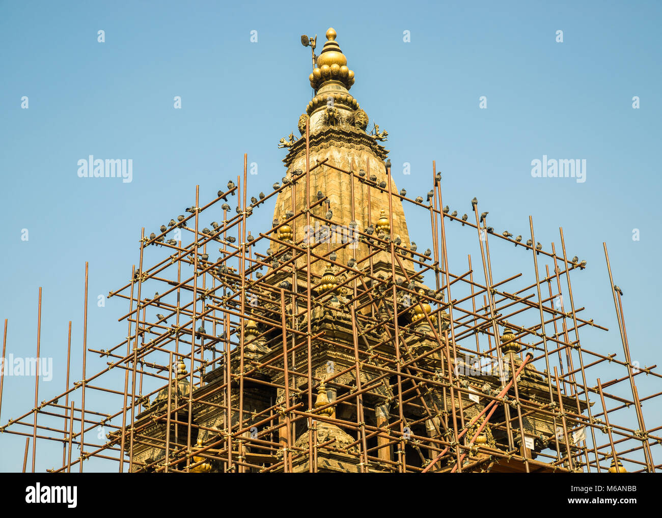 Piccioni su alcuni ponteggi intorno al tempio di Krishna su Patan Durbar Square, Patan, Nepal. Il tempio è stato danneggiato dall'aprile 2015 il Nepal terremoto. Foto Stock