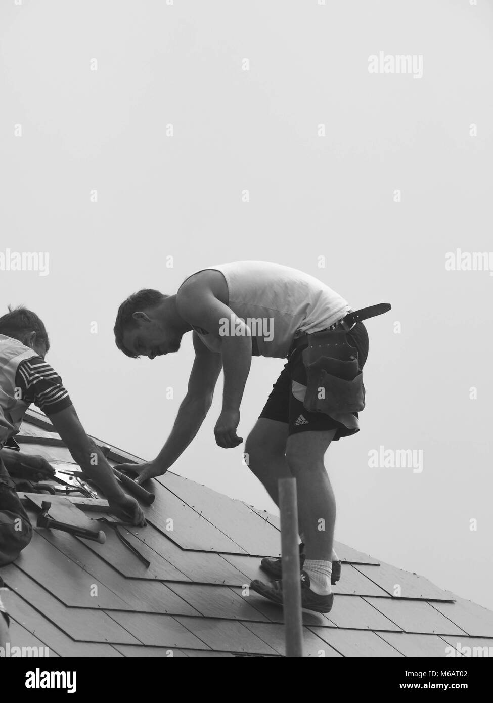 Coperture gli appaltatori che lavorano sul tetto della nuova build Hopkins case di sviluppo, NORFOLK Foto Stock