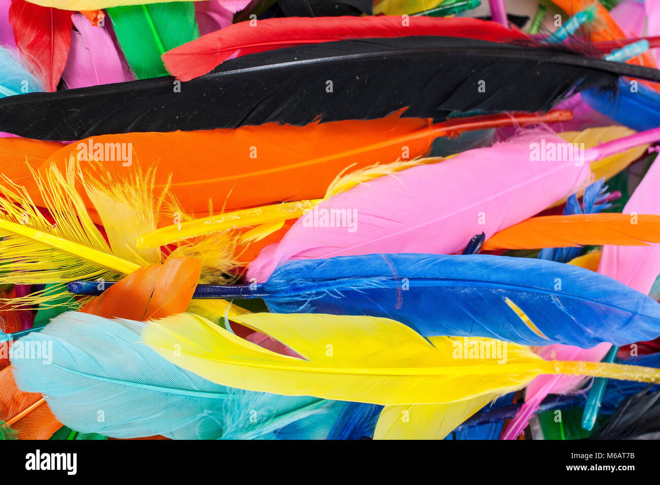 Piume colorate. Pappagallo colori duck feather texture. Colori  dell'arcobaleno Foto stock - Alamy