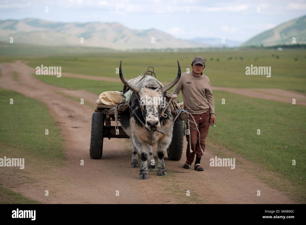 Un nomade uomo Mongolo che viaggiano da ox carrello attraverso la steppa mongola. Gorkhi-Terelj Parco Nazionale, Mongolia. Foto Stock
