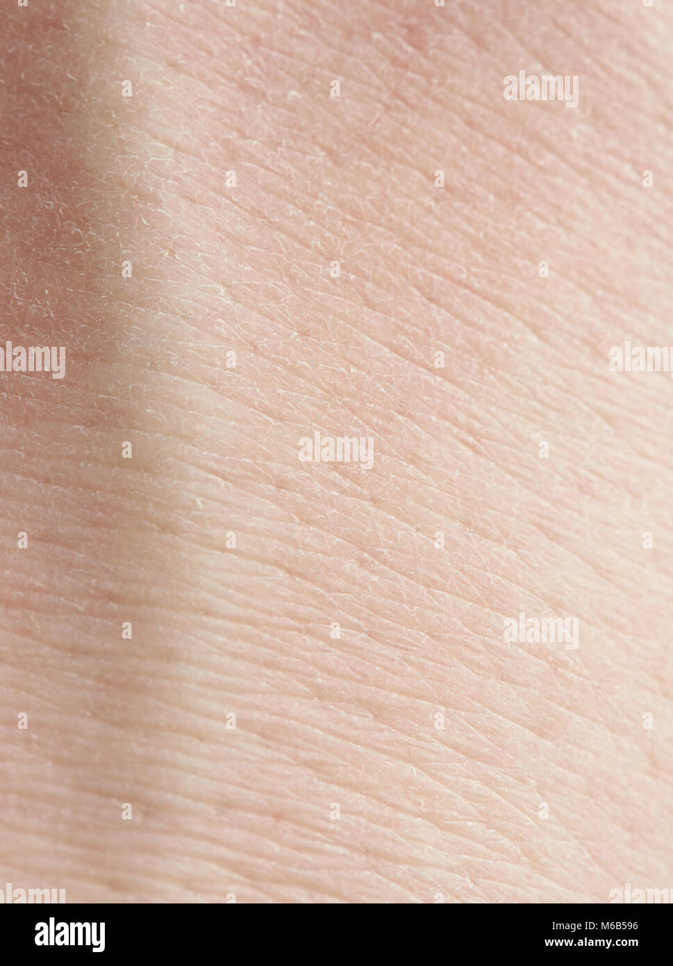 Asciugare cauacaian pelle umana tetxure macro close up Foto Stock