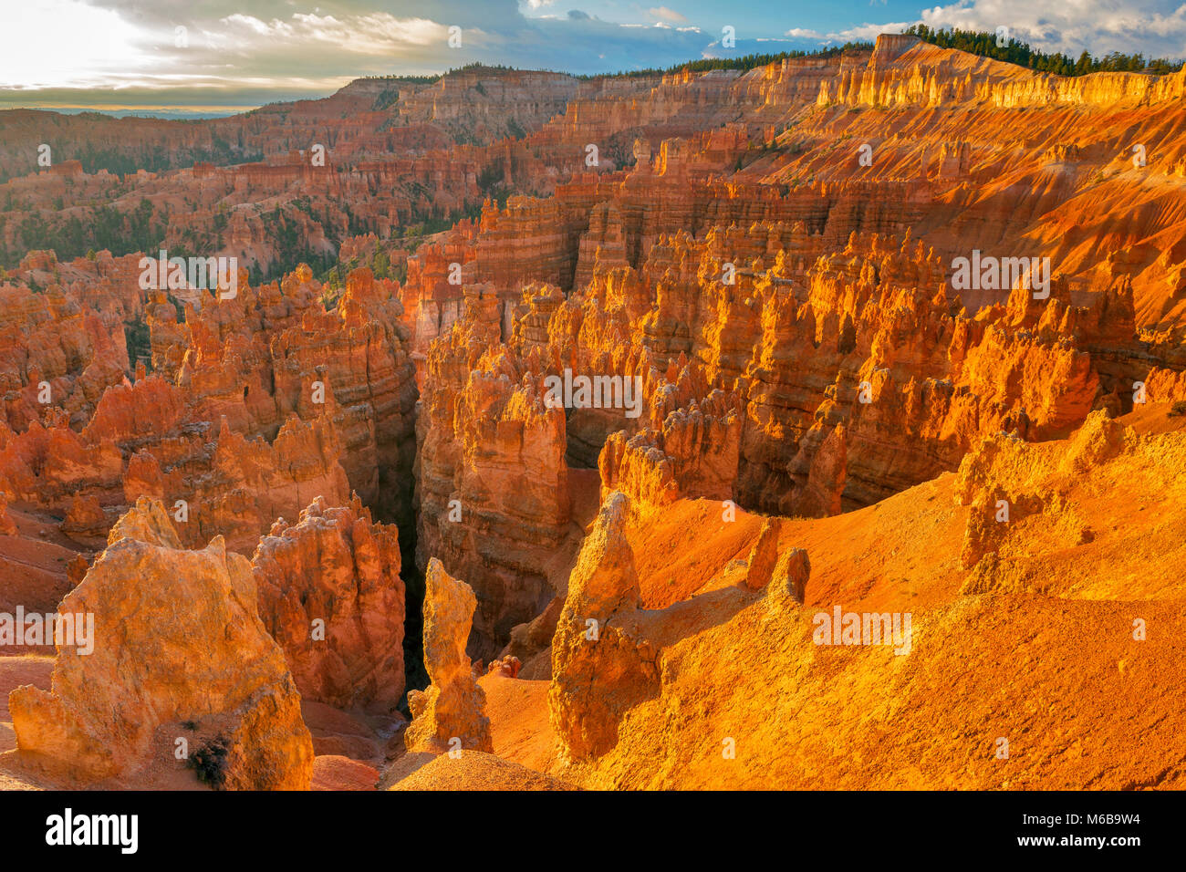 Sunrise, Hoodoos, Wall Street, il Parco Nazionale di Bryce Canyon, Utah Foto Stock