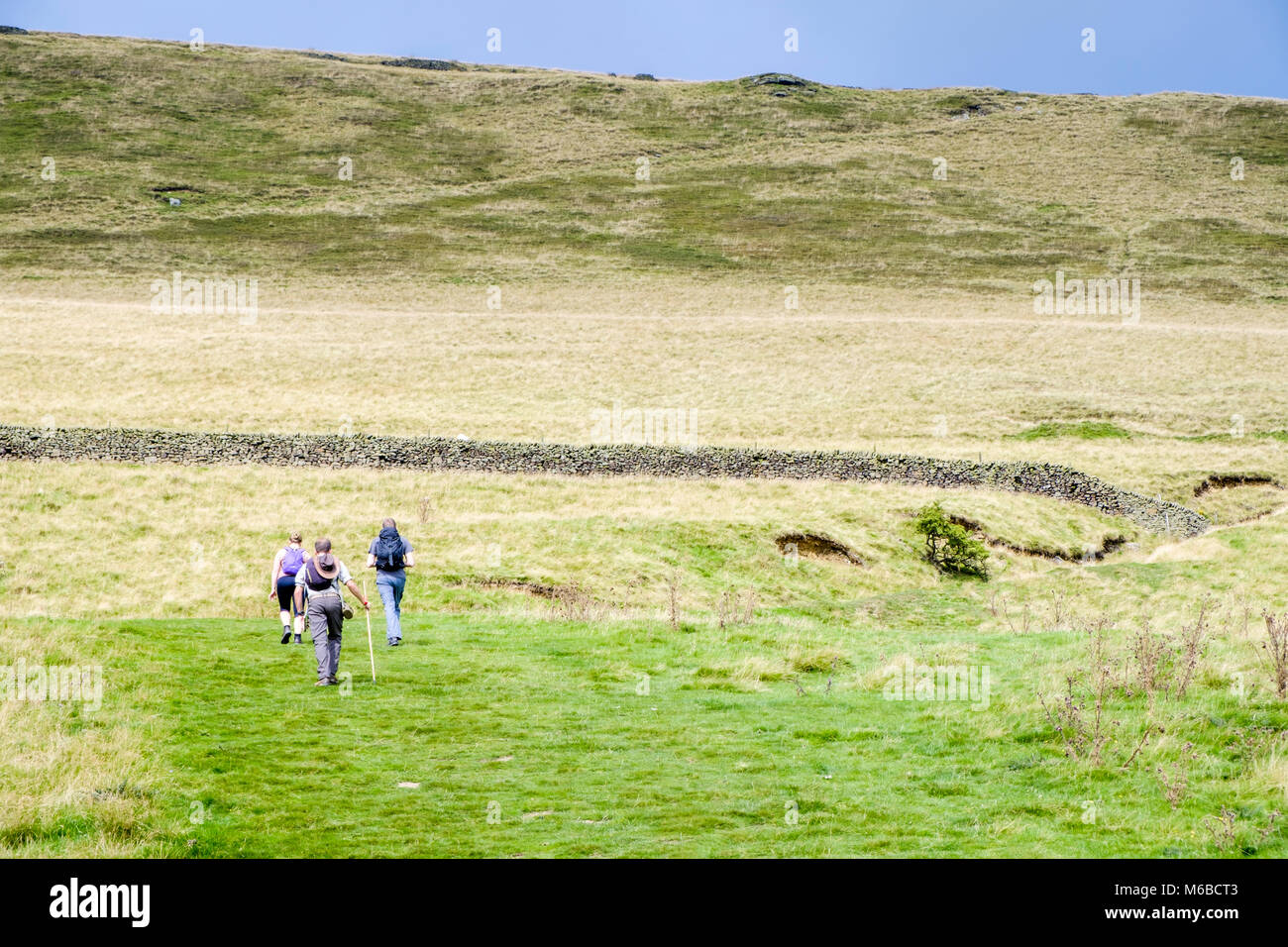Gli scuotipaglia in un campo di campagna con una grande collina davanti a loro. Valle di Edale, Derbyshire, Peak District, England, Regno Unito Foto Stock