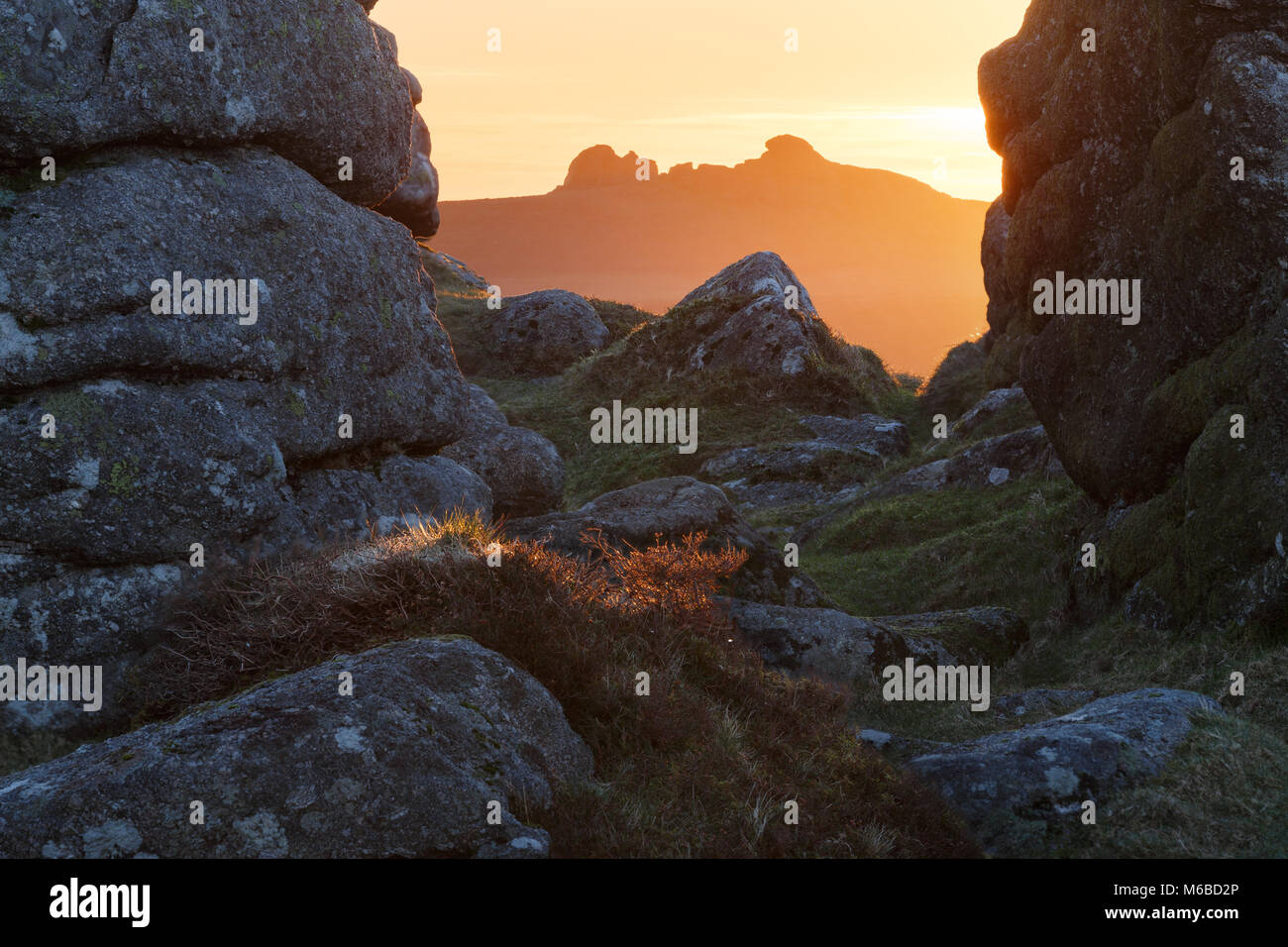 Haytor sunrise visto incorniciato dal granito sulla campana Tor Parco Nazionale di Dartmoor Foto Stock