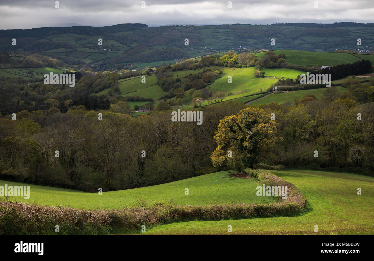 Guardando verso Dartmoor da Haldon hill attraverso il patchwork farmland Foto Stock