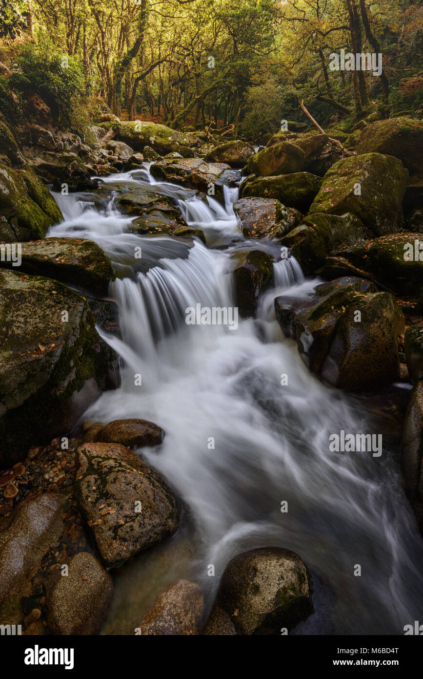Cascata sul fiume Plym a Shaugh prima Parco Nazionale di Dartmoor Foto Stock
