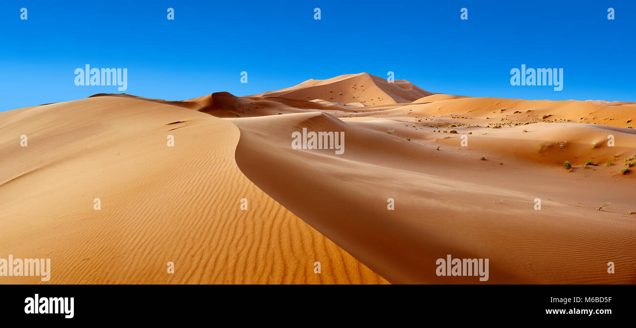 Sahara dune di sabbia di Erg Chebbi Marocco Foto Stock