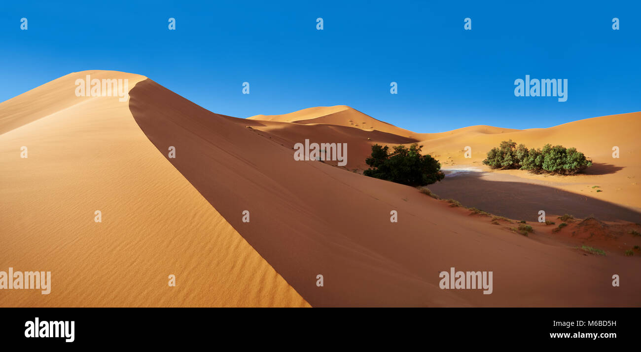 Sahara dune di sabbia di Erg Chebbi Marocco Foto Stock