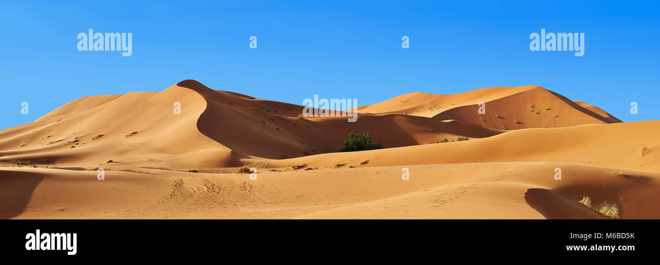 Sahara dune di sabbia di Erg Chebbi Marocco Foto Stock