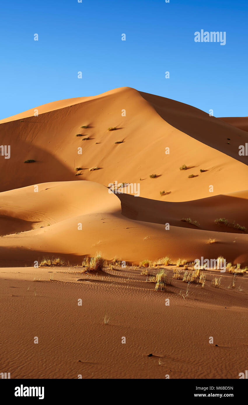 Sahara dune di sabbia di Erg Chebbi Marocco Foto Stock