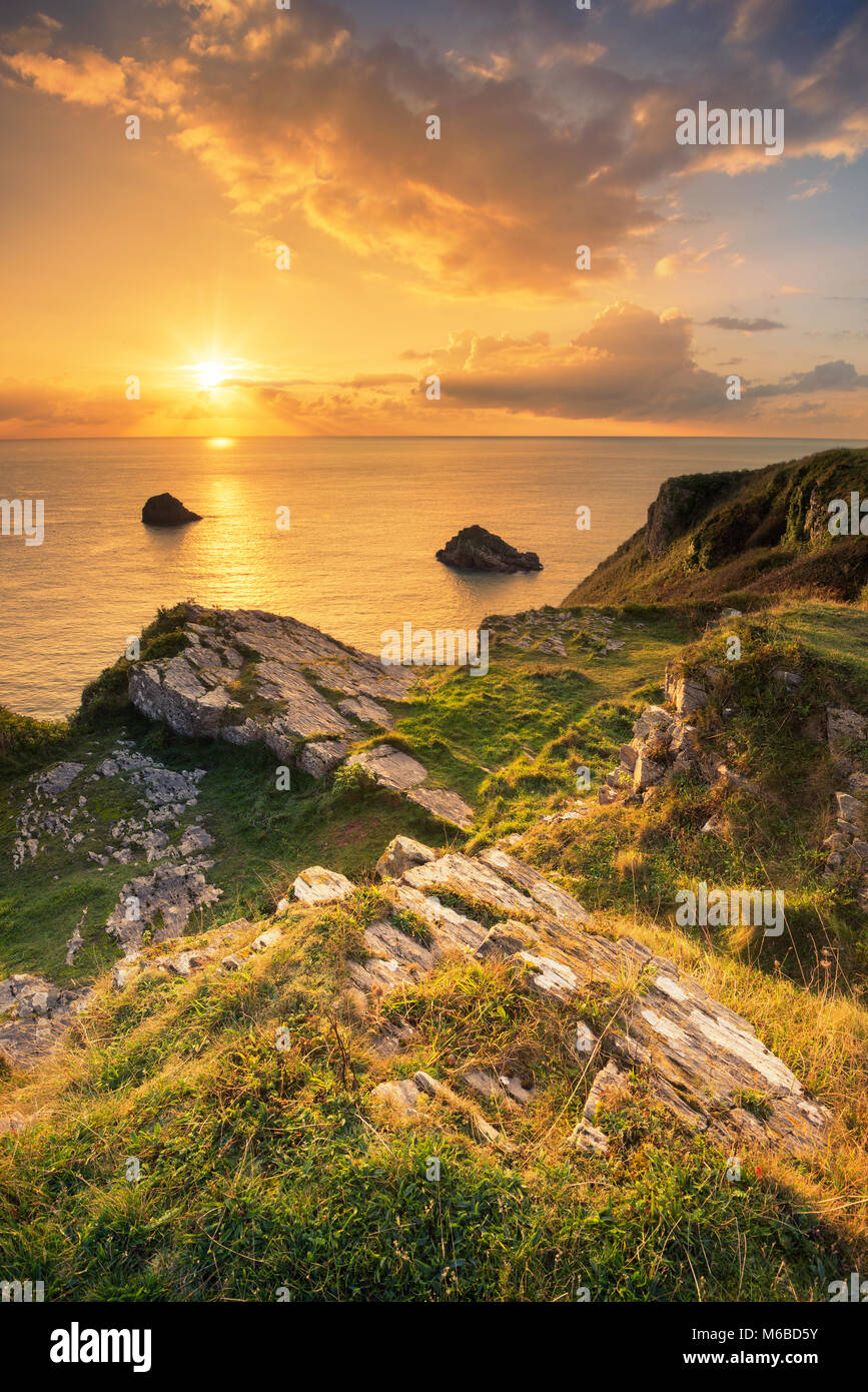 Sunrise presso Berry Head Brixham Torbay South Devon Foto Stock