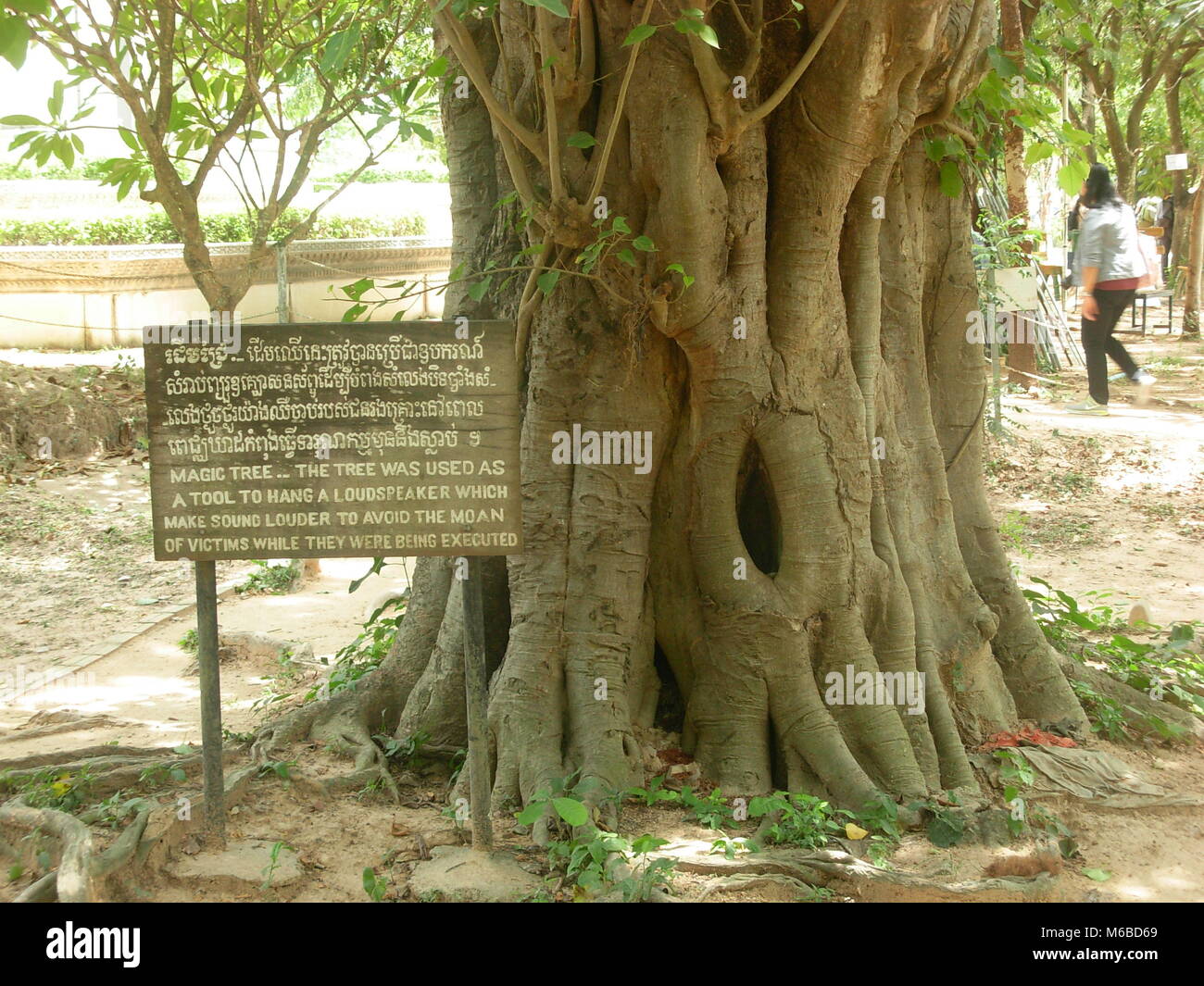 La cosiddetta 'magic tree" all'interno di Choeung Ek Memorial (killing fields) in Phnom Penh Cambogia Foto Stock