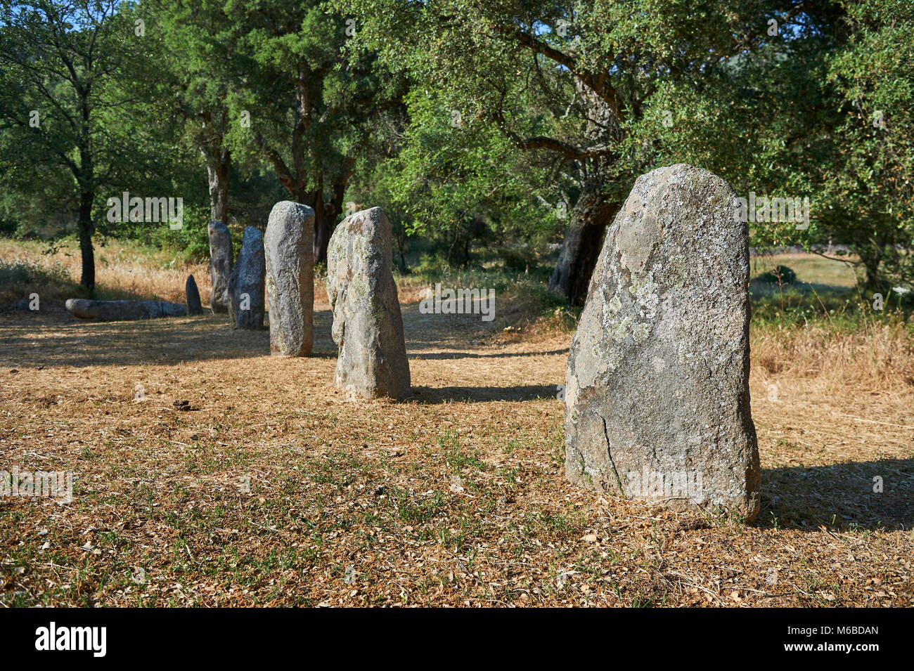 Foto e immagini di età preistorica età del rame proto antropomorfe in pietra permanente statua menhir nel Biru 'e Concas archaeolological sito, Sorgono, Foto Stock