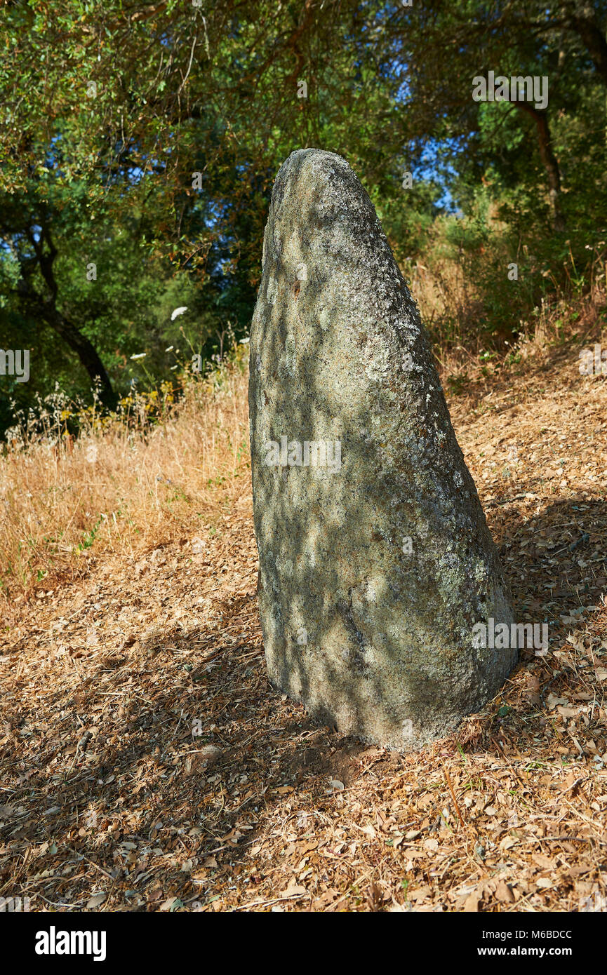 Foto e immagini di età preistorica età del rame proto antropomorfe in pietra permanente statua menhir nel Biru 'e Concas archaeolological sito, Sorgono, Foto Stock