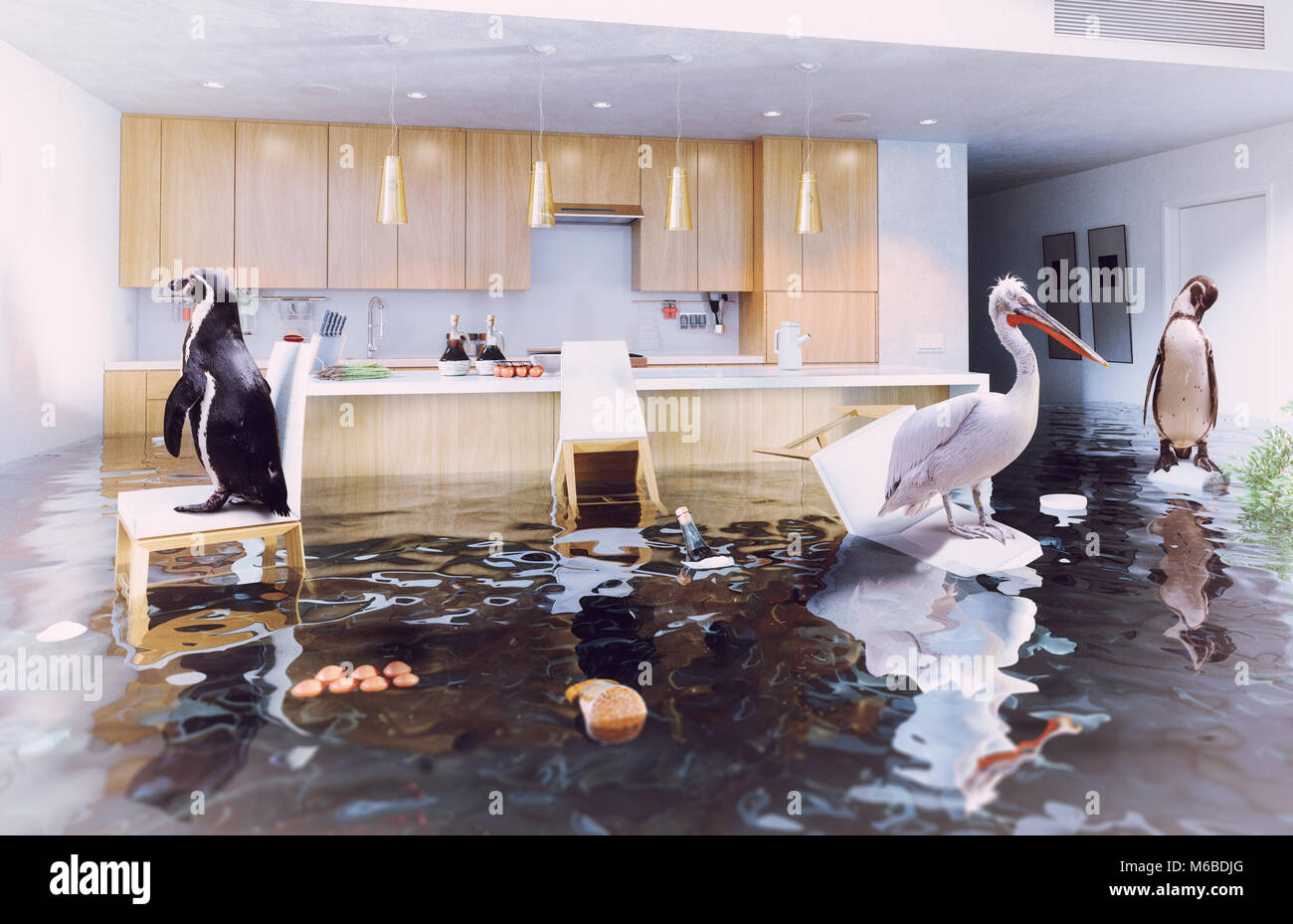 Ocean uccelli nella cucina di allagamento interno. Creative media mix concetto. Foto Stock