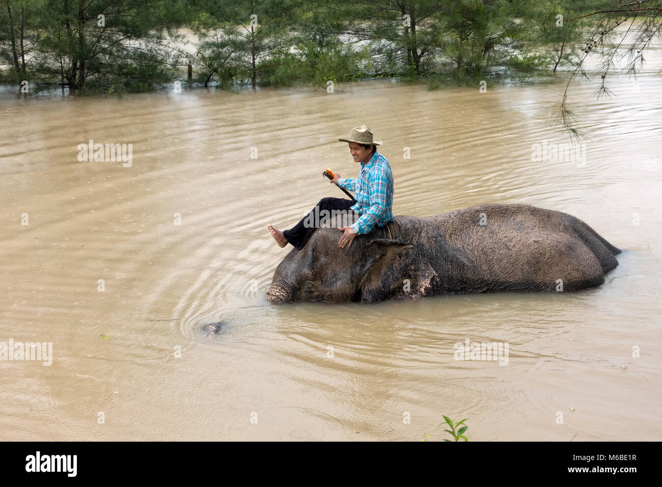 Khau Lak, Tailandia- Un mahout lava le elephant nel fiume. Foto Stock