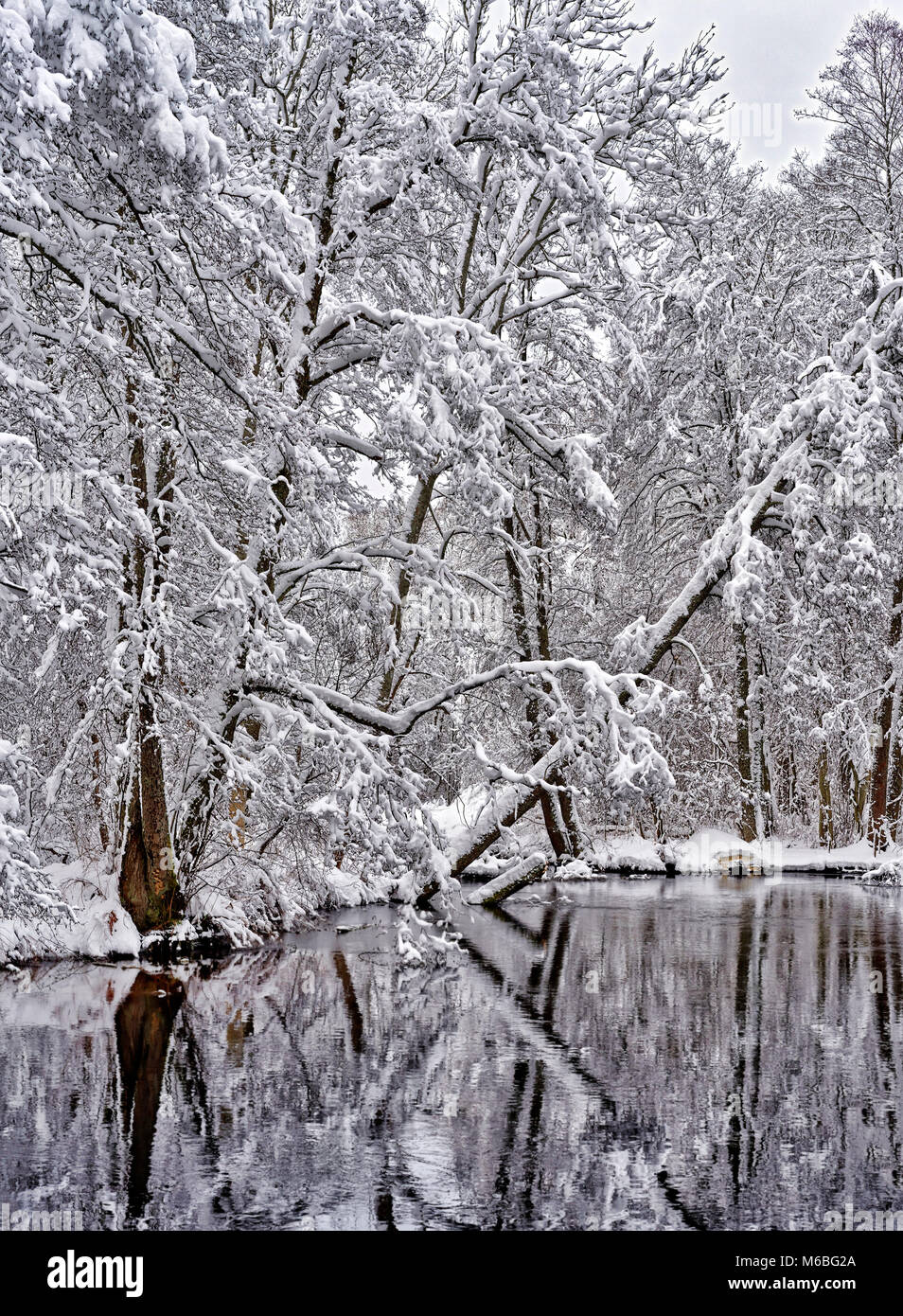 Una tranquilla giornata invernale con alberi che riflette nell'acqua Foto Stock