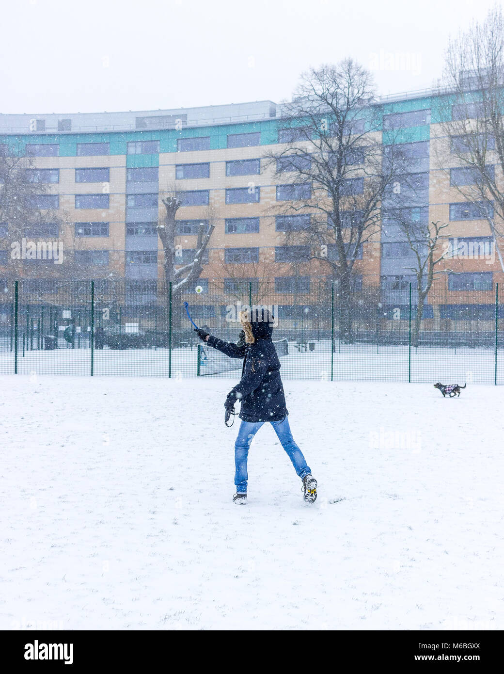 L'uomo getta una palla per il suo cane in un giorno di neve in campi Ladywell, Londra Foto Stock