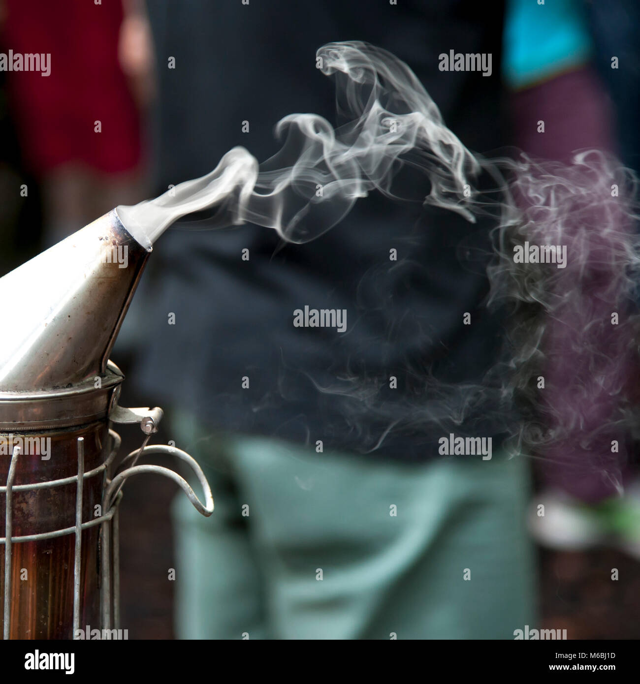 Gli apicoltori fumatore Foto Stock