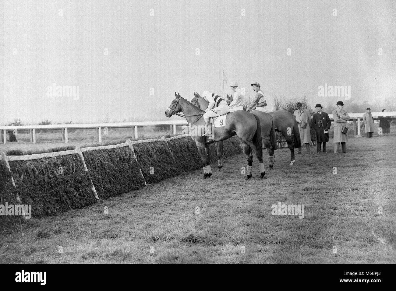 Alcune delle guide di scorrimento nel dicembre del novellame di corsa ad ostacoli a Sandown Park guarda la nuova gomma imbottito di ostacoli. Principali Gerald Glover Harry modo (n. 9), Michael Scudamore fino, è la telecamera più vicina. L'imbottitura di ostacoli sono essendo data la loro prima prova su un ippodromo del sud. Foto Stock
