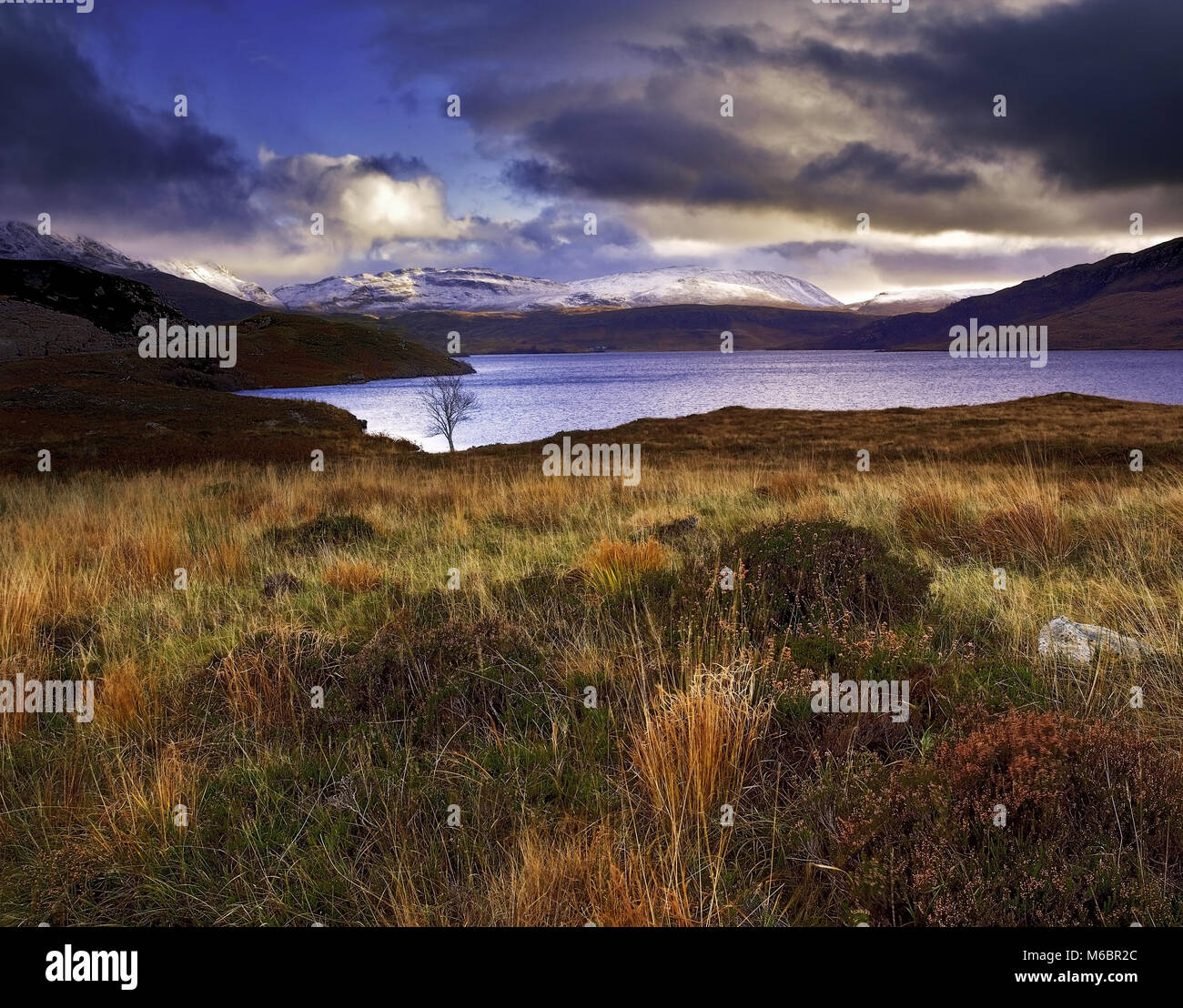 Veduta invernale del variopinto paesaggio Sutherland guarda verso Loch Assynt nelle Highlands Scozzesi. Foto Stock