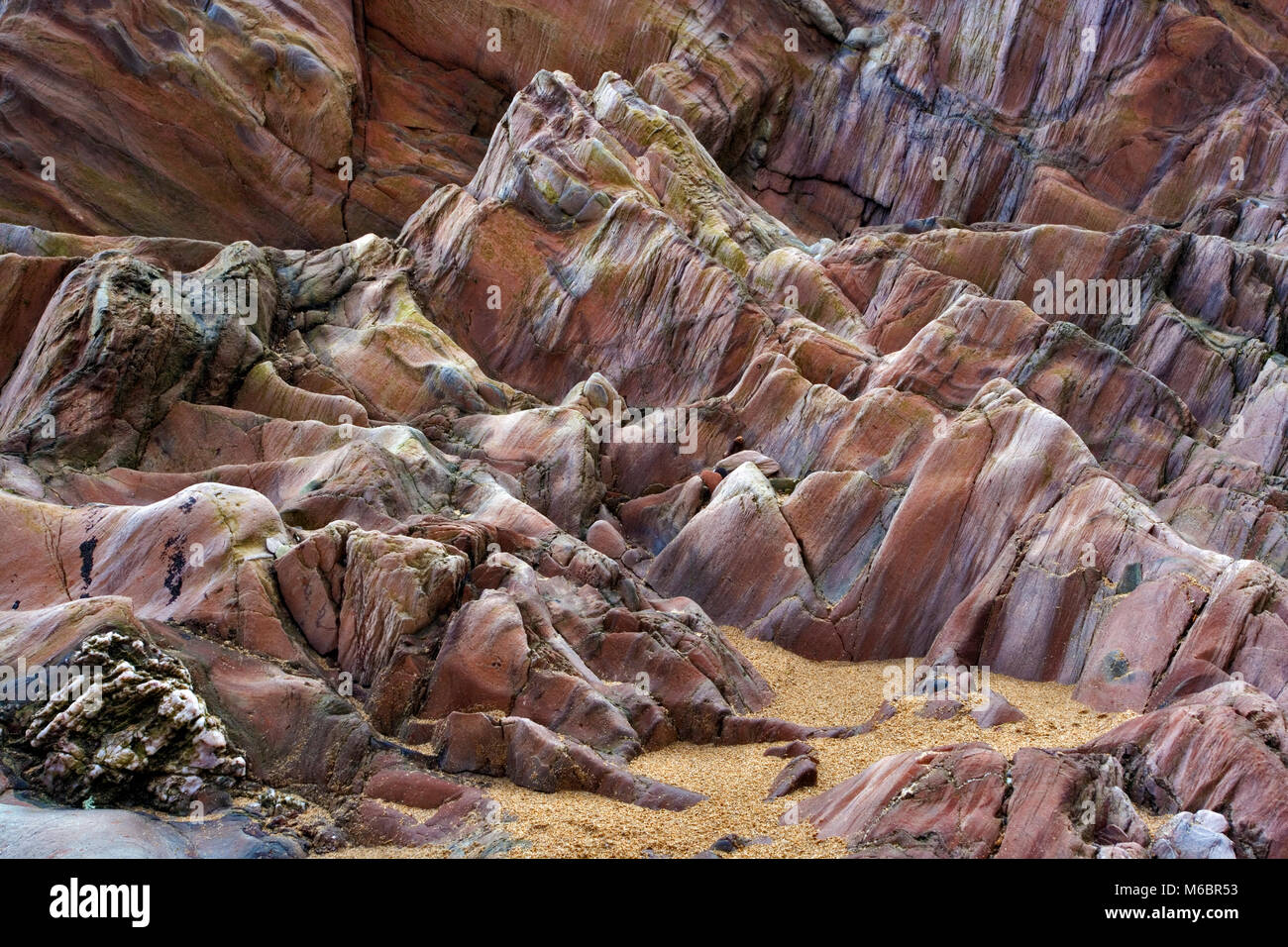 Gamma tonale immagini e fotografie stock ad alta risoluzione - Alamy