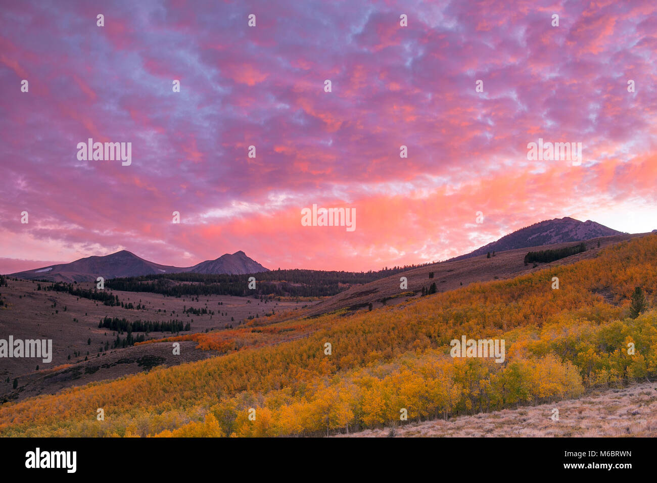 Tramonto, Aspen, vertice di Conway, Mt. Warren, Gilcrest picco, Inyo National Forest, Sierra orientale, California Foto Stock