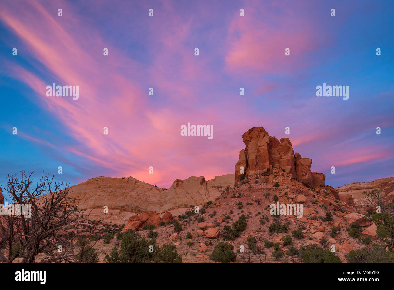 Tramonto, Muley Twist Canyon, il Parco nazionale di Capitol Reef, Utah Foto Stock