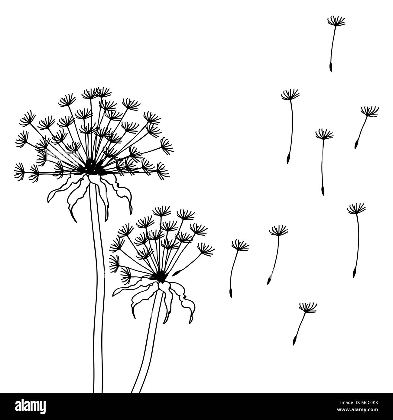 Secchi fiori di tarassaco - abstract illustrazione vettoriale Illustrazione Vettoriale