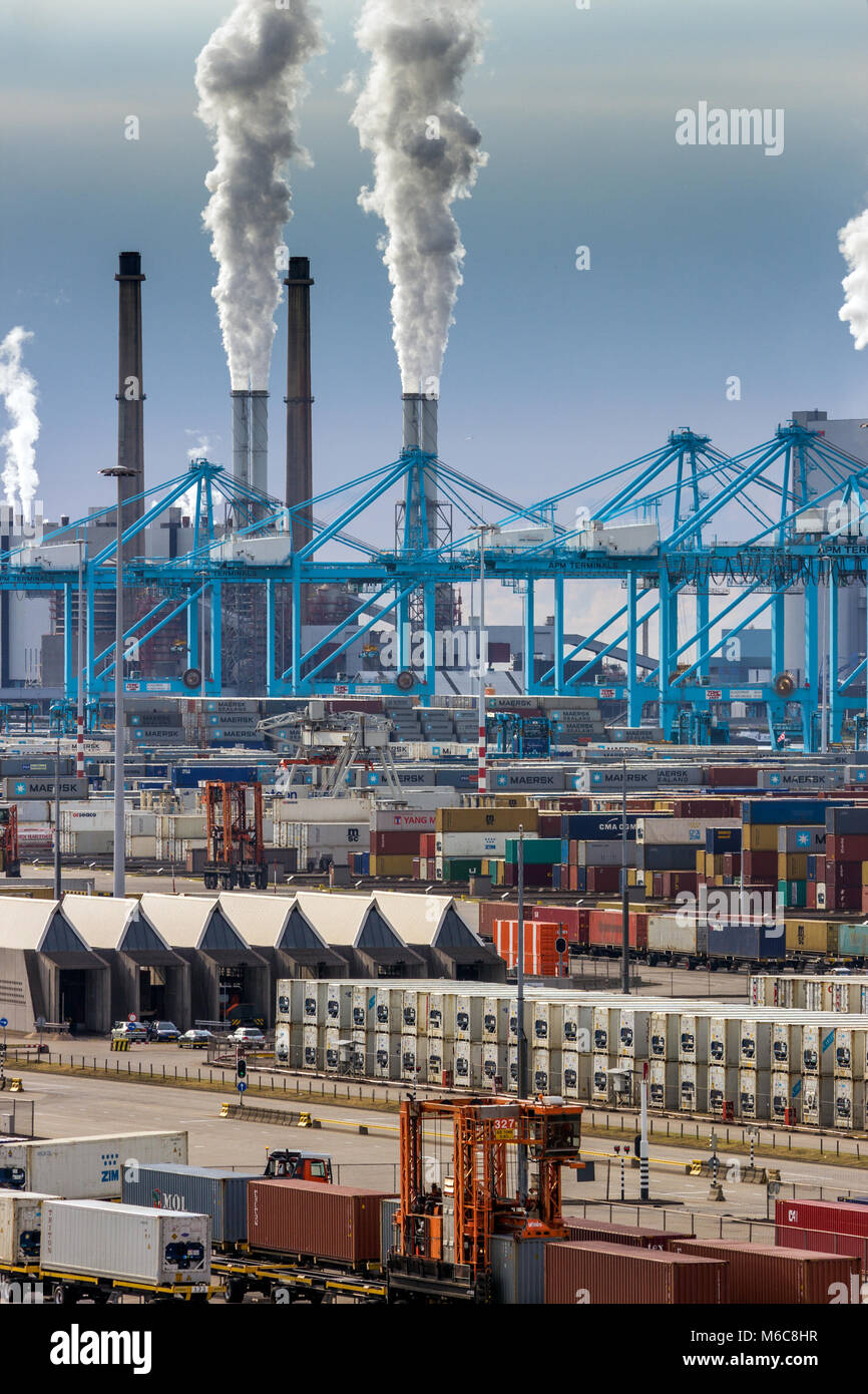 ROTTERDAM, Paesi Bassi - 8 Sep, 2013: Spedizione di terminal per container, gru e power station le emissioni nel porto di Rotterdam. Foto Stock