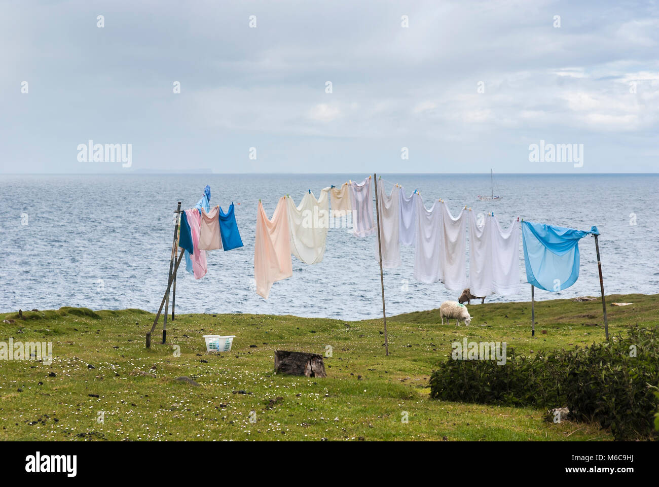 Lasciato fuori per soffiare, l'asciugatura della biancheria tra le pecore, Highland stile. 11 giugno 2009. Foto Stock