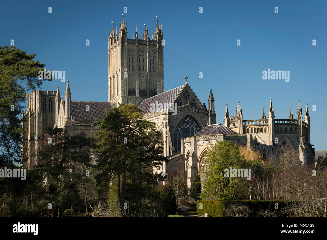 Cattedrale di Wells, pozzi, Somerset, Regno Unito. Foto Stock