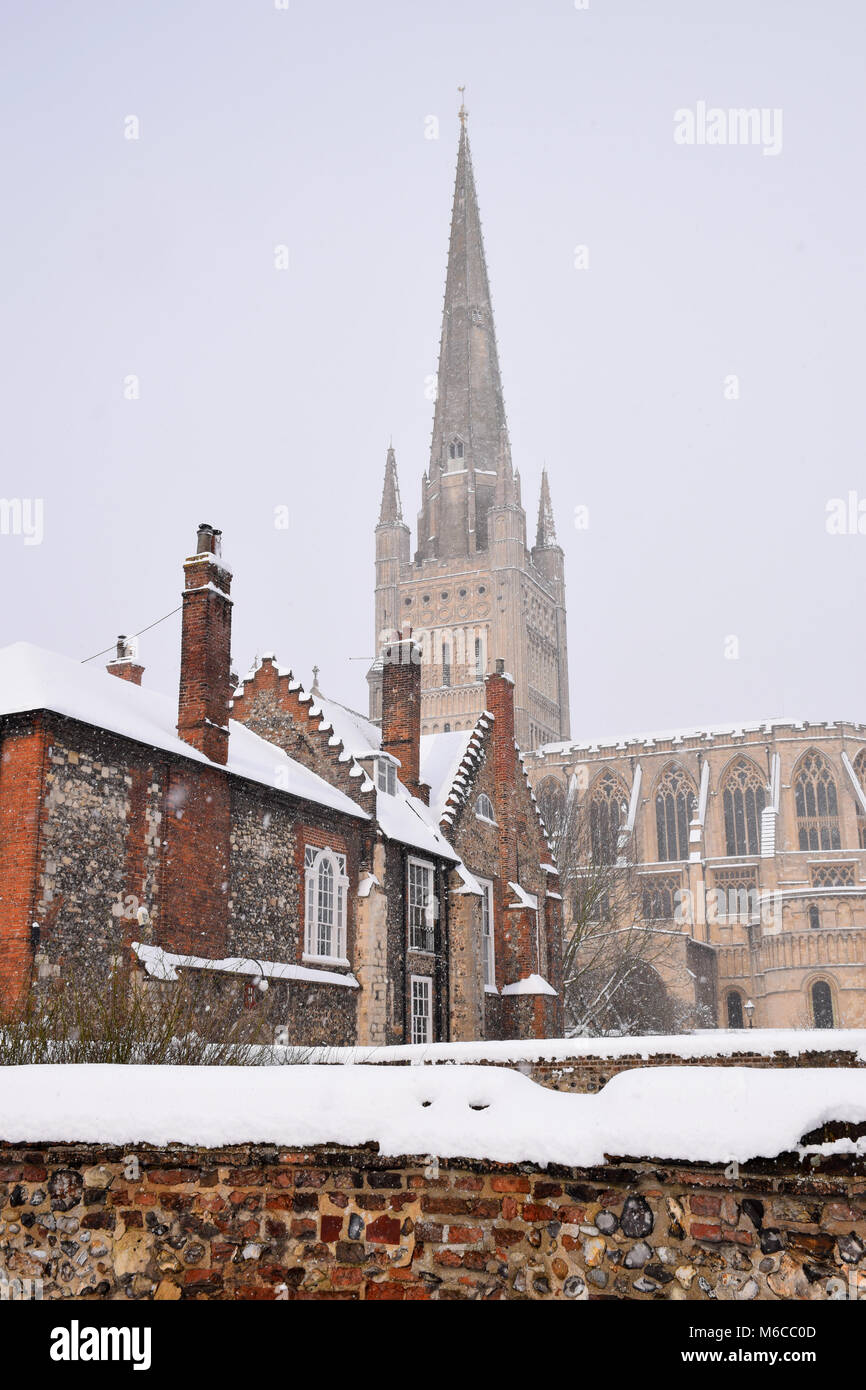 Neve, Norwich Cathedral, Feb 2018 REGNO UNITO Foto Stock