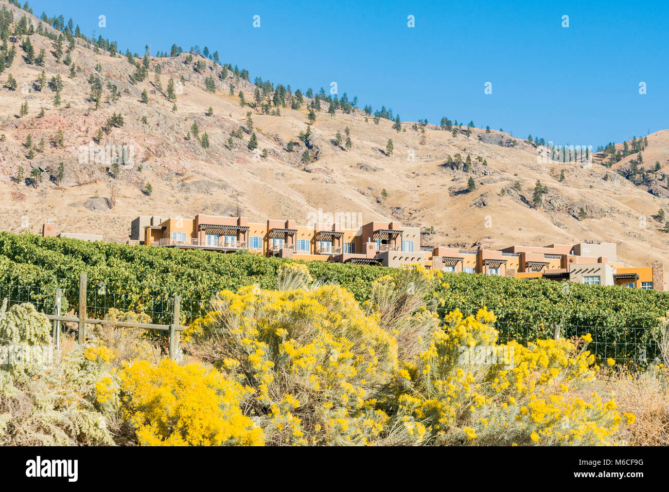 Nk'Mvigna ip, Osoyoos, British Columbia, Canada Foto Stock