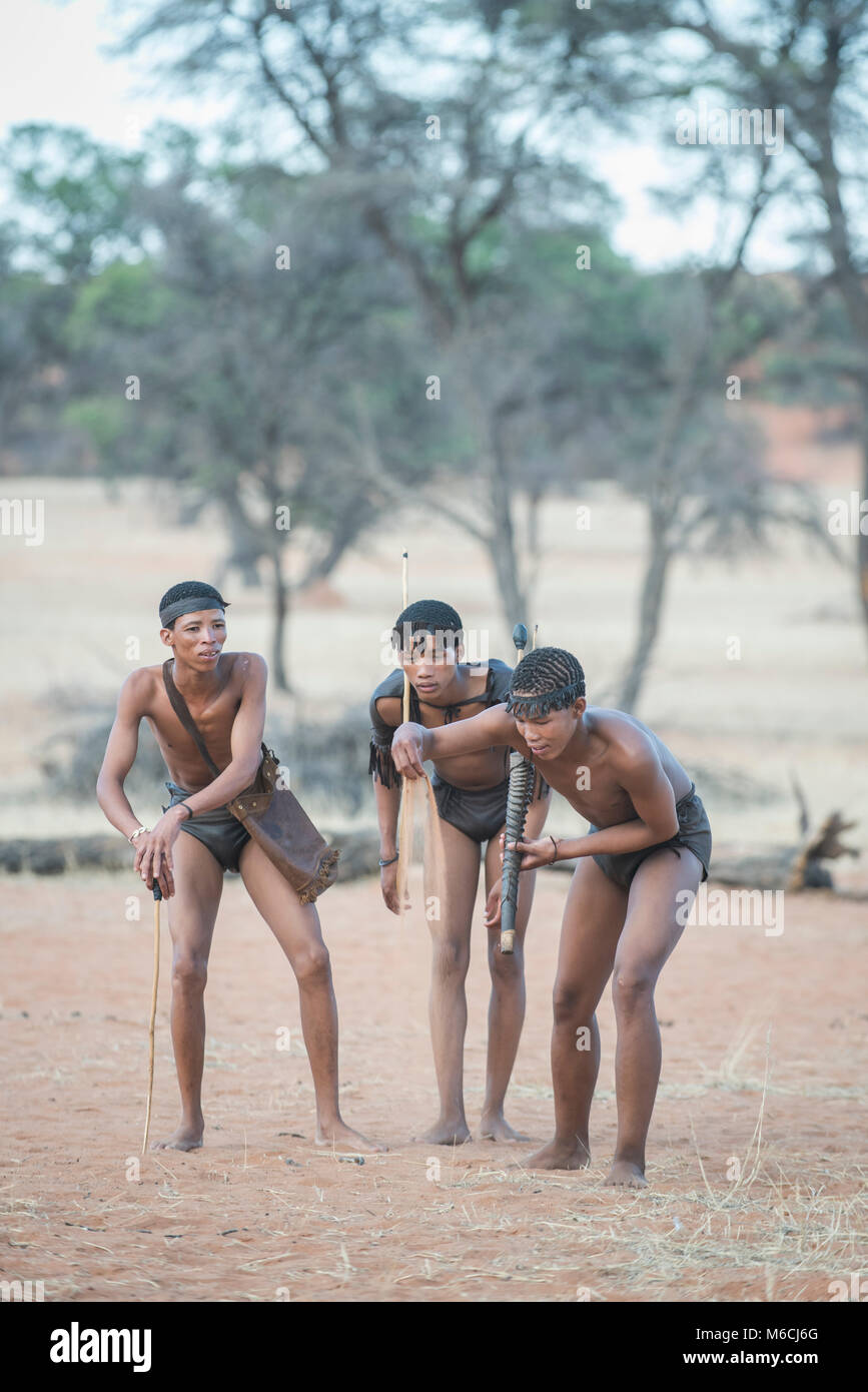 Kung i Boscimani stanno seguendo un sentiero degli animali, Zebra Lodge, Regione di Hardap, Namibia! Foto Stock