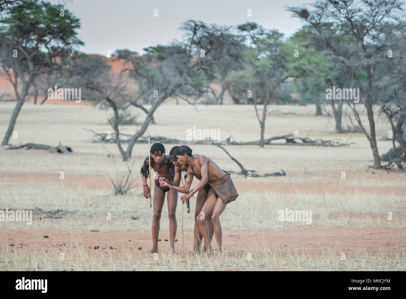 Kung i Boscimani stanno seguendo un sentiero degli animali, Zebra Lodge, Regione di Hardap, Namibia! Foto Stock