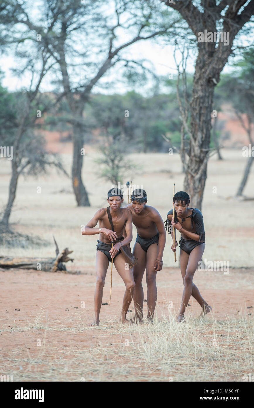 Kung i Boscimani stanno seguendo un sentiero degli animali, Zebra Lodge, Regione di Hardap, Namibia! Foto Stock