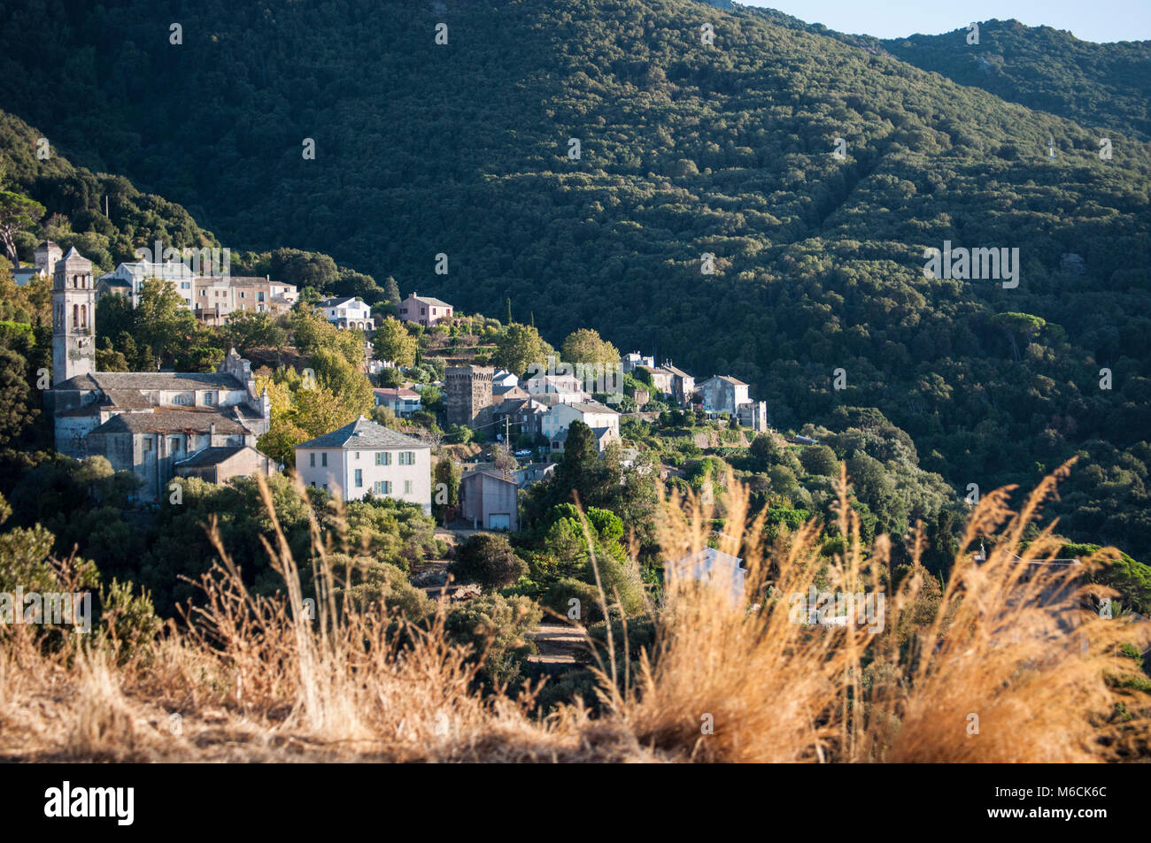 Macchia mediterranea con lo skyline di uno dei villaggi remoti della Haute Corse sul lato occidentale del Cap Corse, famosa per il suo paesaggio selvaggio Foto Stock