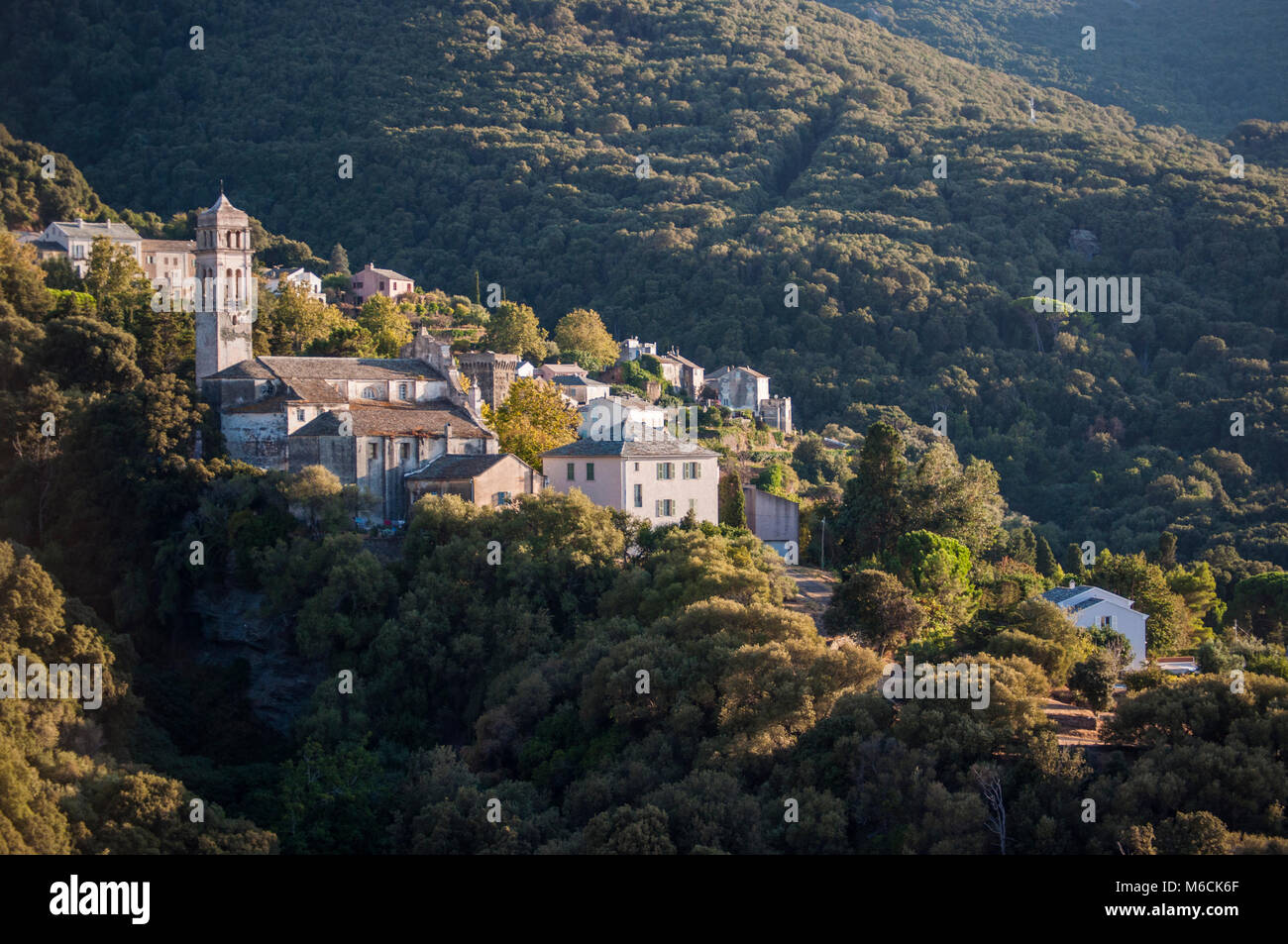 Macchia mediterranea con lo skyline di uno dei villaggi remoti della Haute Corse sul lato occidentale del Cap Corse, famosa per il suo paesaggio selvaggio Foto Stock