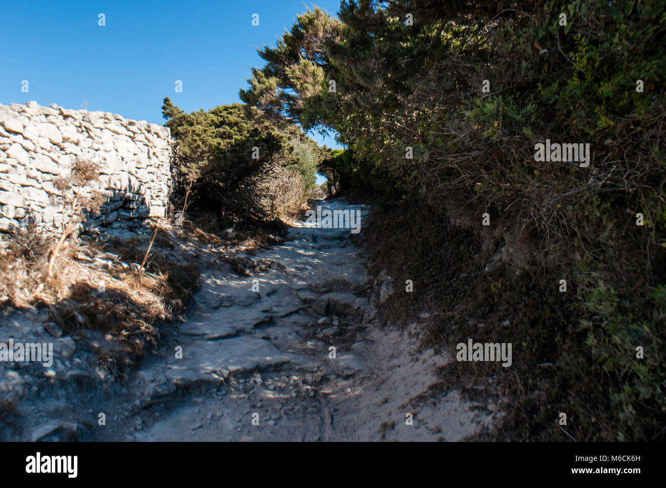 Corsica: Sentiero dell'International Bouches de Bonifacio parco marino, riserva naturale sulla bianca roccia calcarea nello Stretto di Bonifacio Foto Stock