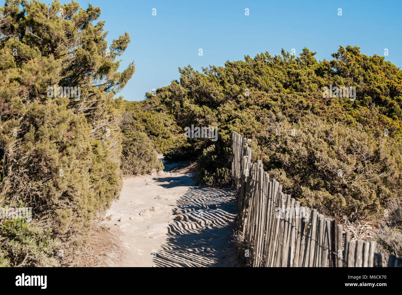 Corsica: Sentiero dell'International Bouches de Bonifacio parco marino, riserva naturale sulla bianca roccia calcarea nello Stretto di Bonifacio Foto Stock