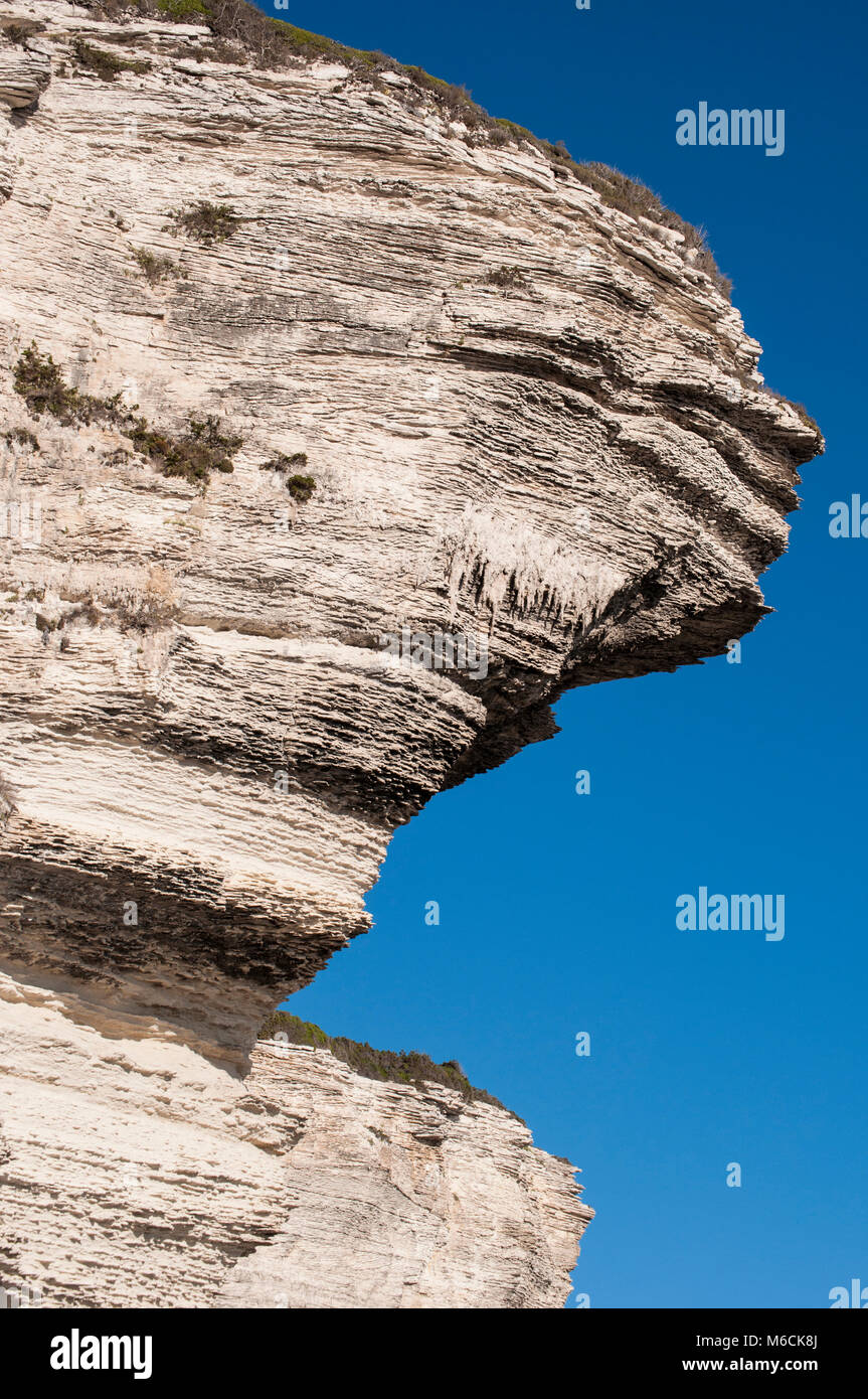 Corsica: dettagli del mozzafiato bianche scogliere calcaree di Bonifacio in International Bouches de Bonifacio parco marino, riserva naturale Foto Stock