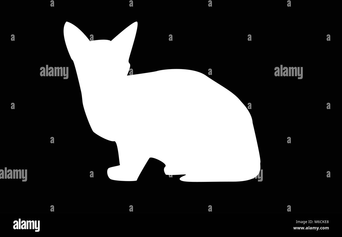 White sphynx cat silhouette su sfondo nero Illustrazione Vettoriale