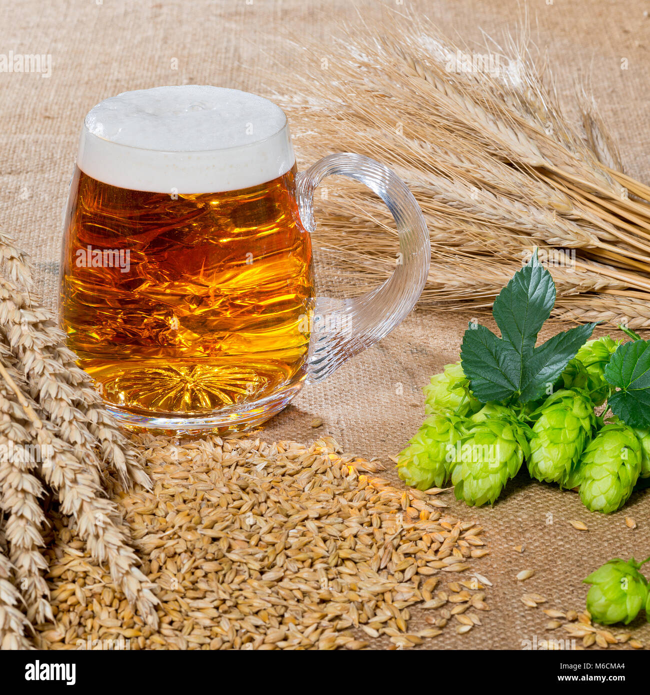 Materia prima per la produzione di birra immagini e fotografie stock ad  alta risoluzione - Alamy