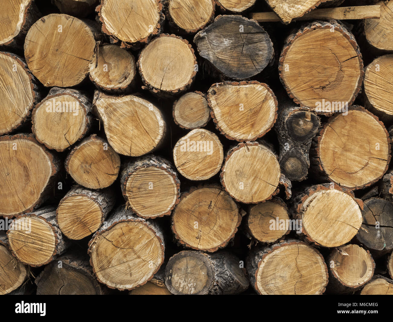 Legna da ardere spaccati in una pila. Sfondo di legna da ardere impilati e preparati per l'inverno. Vicino la pila di ciocchi di legna. Foto Stock