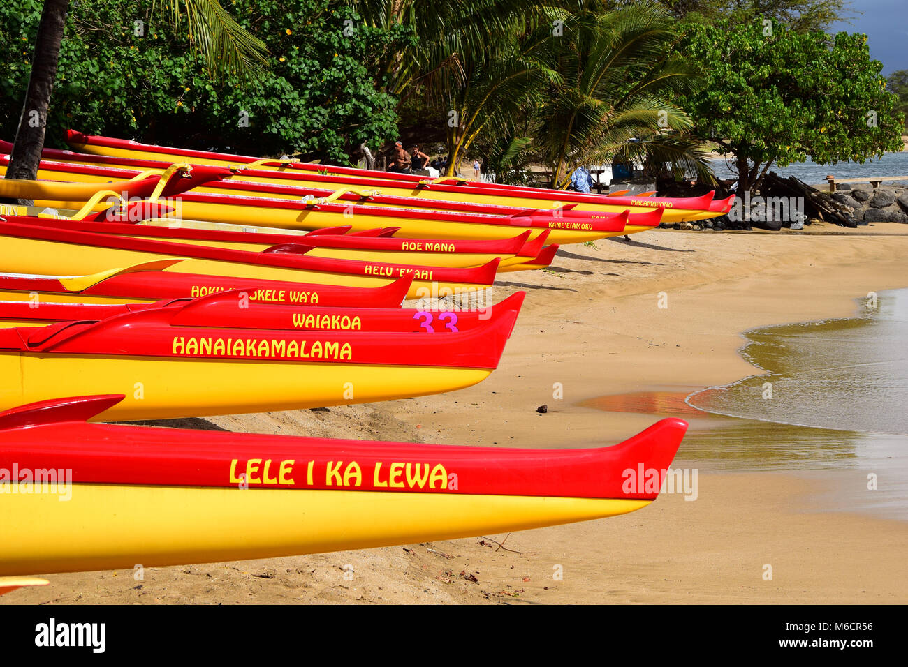 Il buttafuori a Kihei, Maui Foto Stock