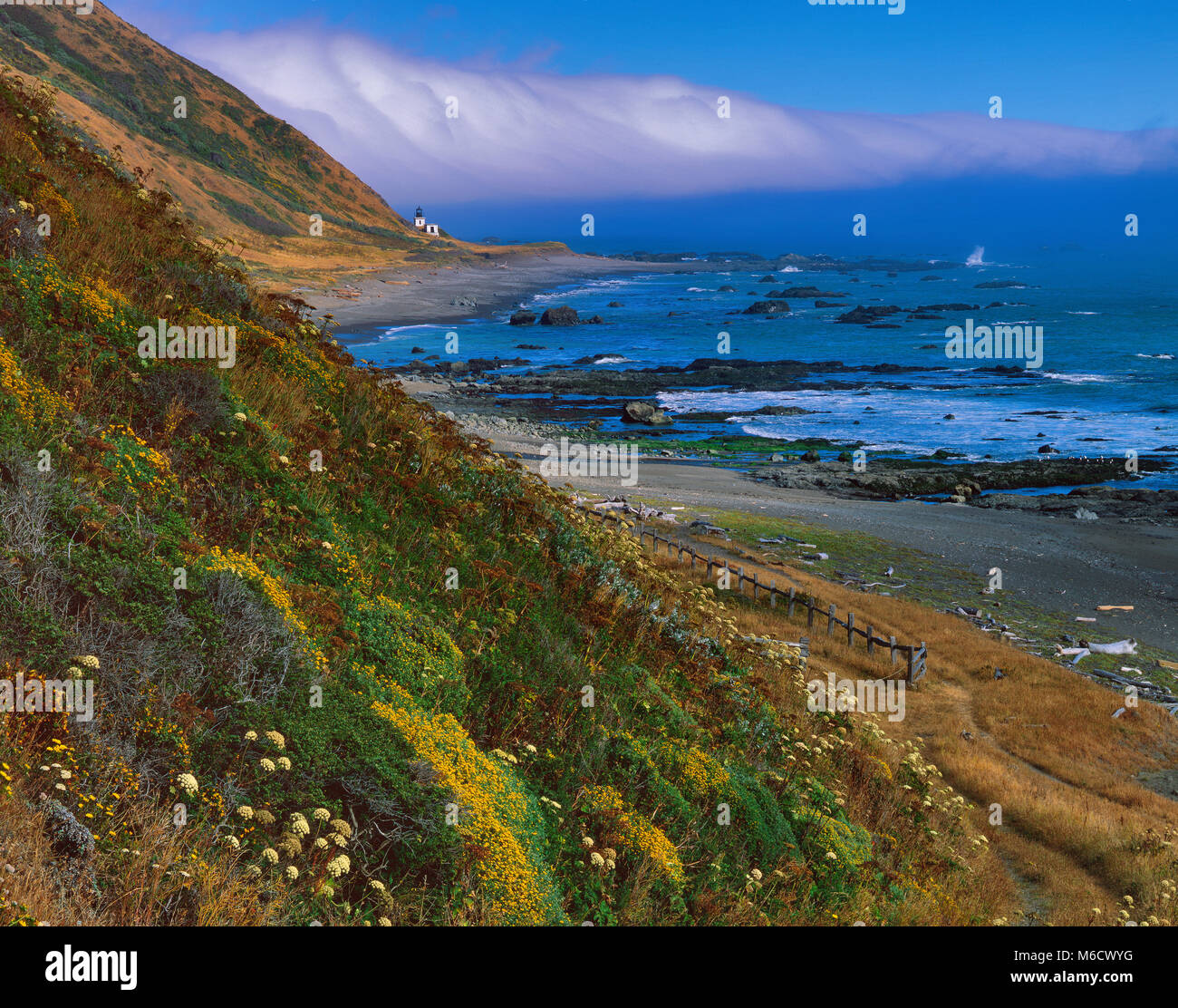 Punta Gorda faro, gamma King National Conservation Area, Humboldt County, California Foto Stock